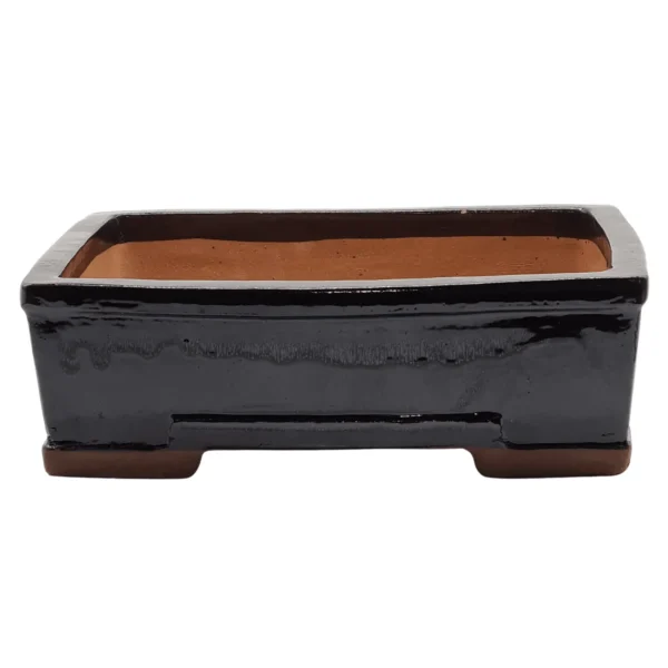 31cm Glazed Bonsai Pot | Rectangle | 31cm x 25cm x 10cm | Black