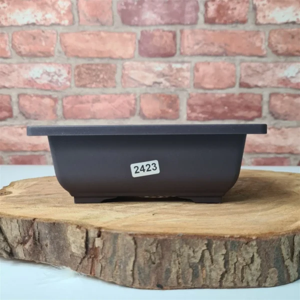 Plastic Bonsai Training Pot | Rectangle | 16cm x 12cm x 6cm