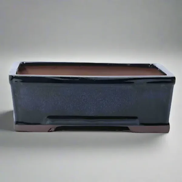 20cm Glazed Bonsai Pot | Rectangle | 20cm x 15cm x 6cm | Black