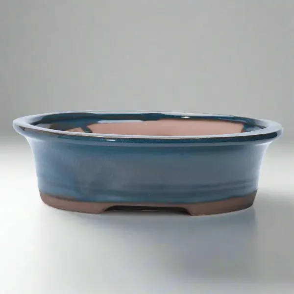 20cm Glazed Bonsai Pot | Oval | 20cm x 17cm x 5cm | Blue