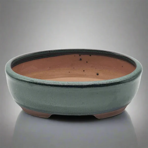 20cm Glazed Bonsai Pot | Oval | 20cm x 16cm x 6cm | Green