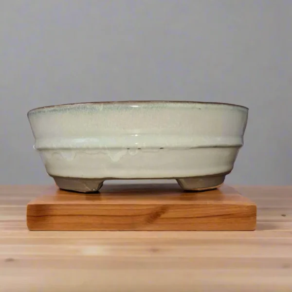 16cm Glazed Bonsai Pot | Oval | 16cm x 12cm x 3cm | White