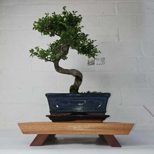 Premium Handcrafted Hardwood Bonsai Stand | Mahogany | Water Resistant | Various Sizes