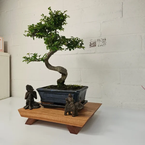 Premium Handcrafted Hardwood Bonsai Stand | Mahogany | Water Resistant | Various Sizes - Image 2