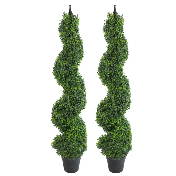 Buxus Boxwood Spiral Trees 120cm - Image 7