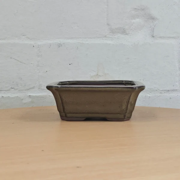 12cm Glazed Bonsai Pot | Rectangle | 12cm x 10cm x 4cm | Green