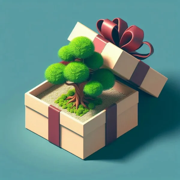 Bonsai Tree Bundle