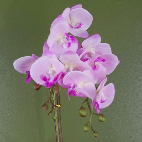 Orchid Artificial Light Pink Silver 50cm Phalaenopsis Botanik - Image 2