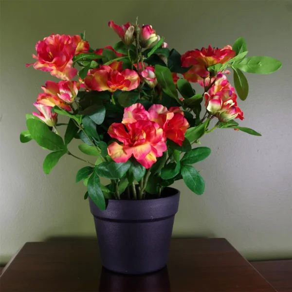 Artificial Rhododendron Plant Flowers Flowering Plant Orange Botanik