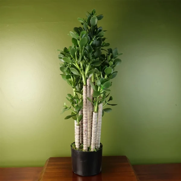 Artificial Large Plant Shrub Green Jade 75cm Tall Botanik