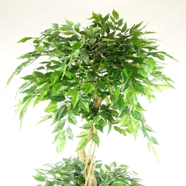 Artificial Ficus Extra Large Triple Ball Tree 6ft Botanik - Image 2