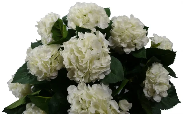 Artificial White Hydrangea Plant Potted 70cm Bush Botanik - Image 3