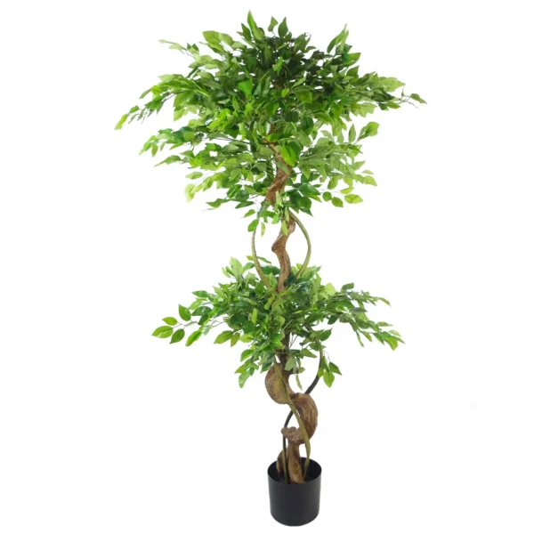 Artificial Japanese Fruticosa Tree Twisted Large Ficus 150cm Leaf Design UK Botanik