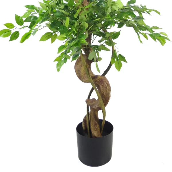 Artificial Japanese Fruticosa Tree Twisted Large Ficus 150cm Leaf Design UK Botanik - Image 2