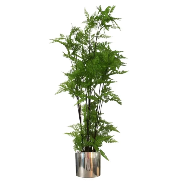 Artificial Natural Look Moss Fern Large Silver Planter 150cm 5ft Realistic Botanik