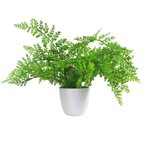 Artificial Fern Plant Pot Royal Fern 30cm Leaf Design UK Realistic Plants Botanik