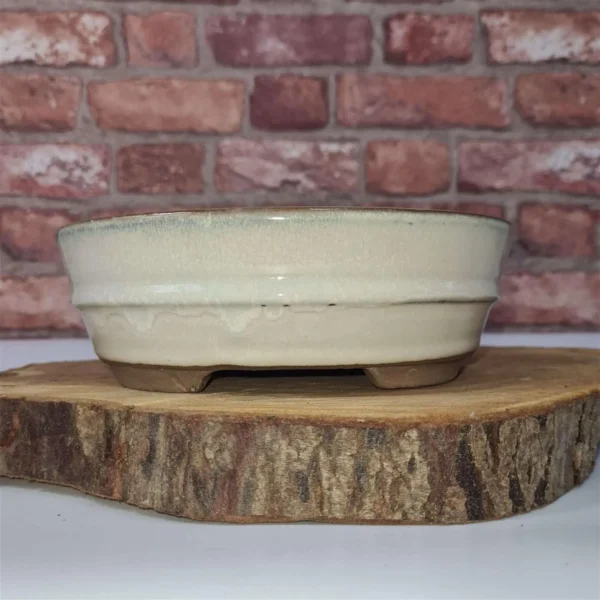 16cm Glazed Bonsai Pot | Oval | 16cm x 12cm x 3cm | White - Image 2