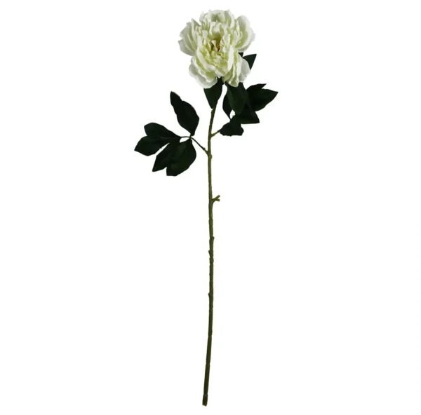 80cm Artificial White Peony Stem - Image 2