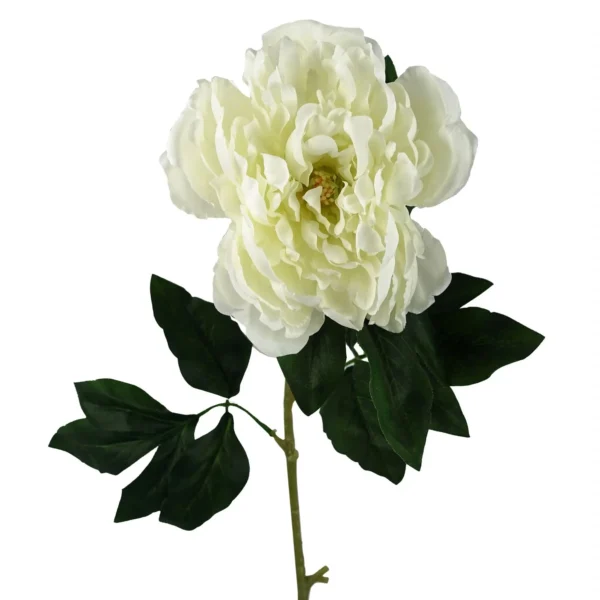 Pack of 6 x 80cm Artificial White Peony Stem - Image 3