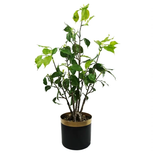 Leaf Design 60cm Artificial Banyan Bonsai Ficus Tree