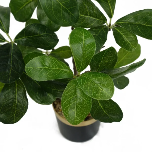 Leaf Design 60cm Artificial Tropical Bonsai Ficus Tree - Image 2